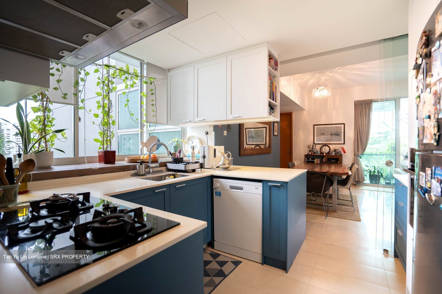 Montview (D10), Condominium #494193071